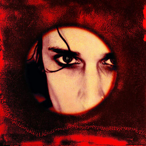 欧美操大逼短视频
