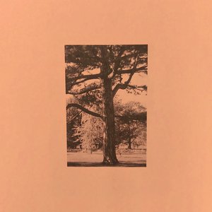 欧美操大逼短视频
