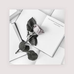 欧美操大逼短视频
